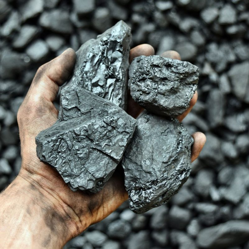 mão do mineiro mostra carvão na mina