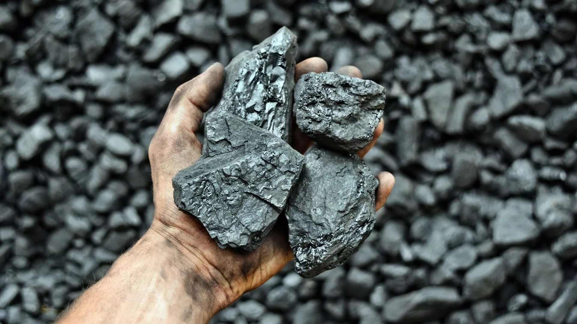 mão do mineiro mostra carvão na mina