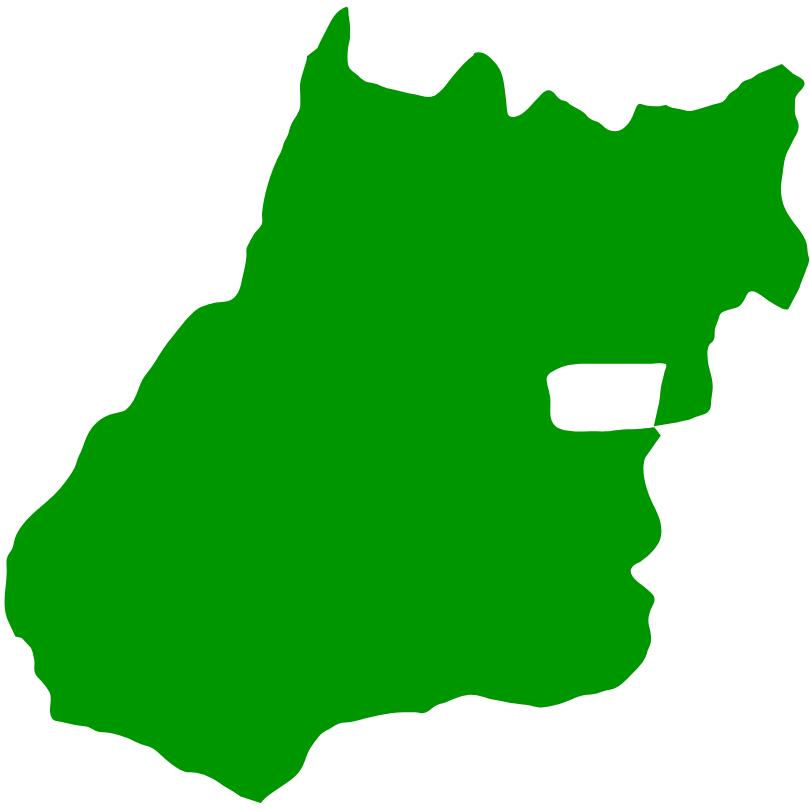 mapa de goias verde