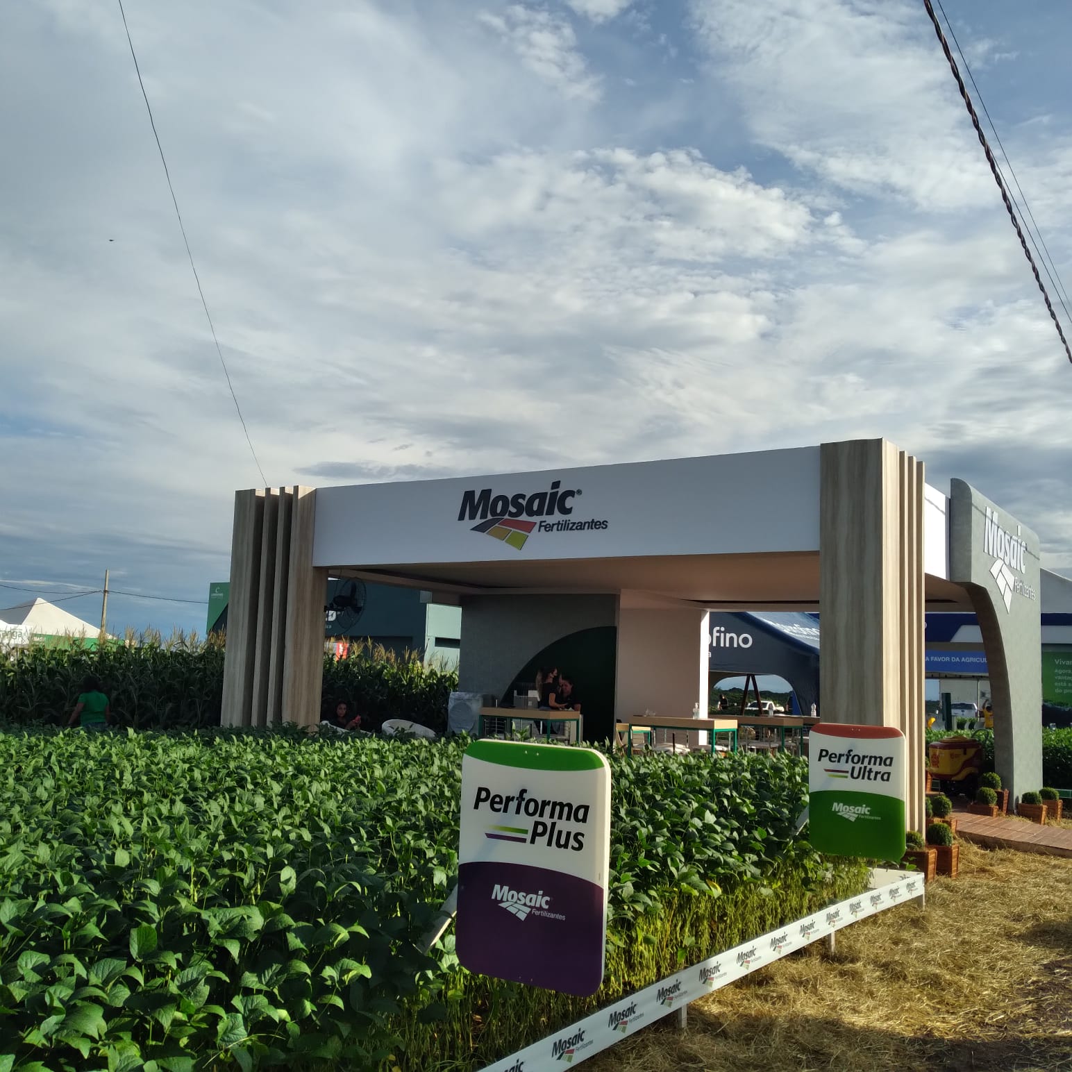 mosaic fertilizantes no dinetec