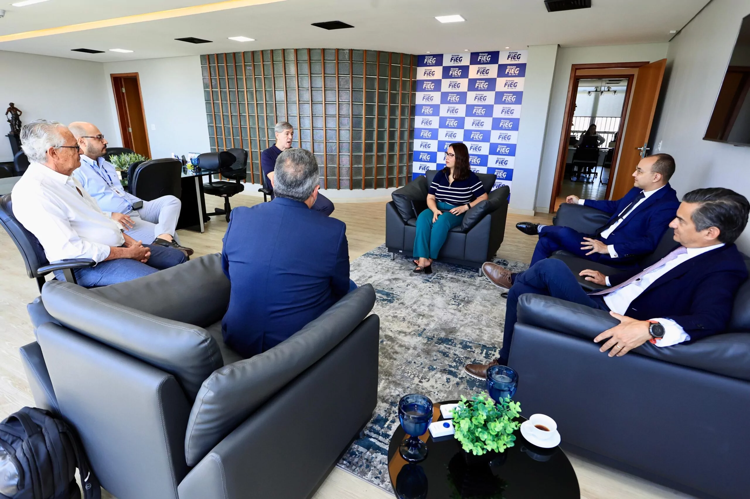 reunião na fieg com aclara divulgação