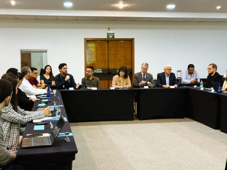 semad gt mineração semad